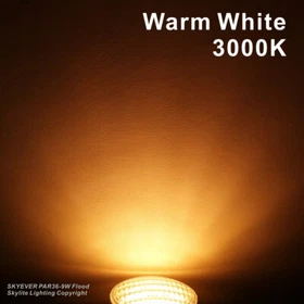 2 Pcs Waterproof PAR36 LED Light Bulb 6W 9W 12W 12V Wide Beam Muti-purpose base