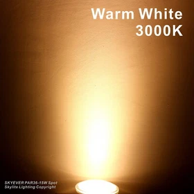 LED Spot Light Bulb PAR36 9W 15W Waterproof Narrow Beam Landscape Lamp Bulb G53