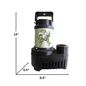 BFED4200 ANJON MANUFACTURING Big Frog Eco Drive Pump #2 BFED4200 ANJON MANUFACTURING Big Frog Eco Drive Pump #2