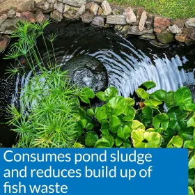 146B API POND Zyme Sludge Destroyer Consumes #3