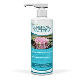 742575988863 AQUASCAPE Beneficial Bacteria Ponds