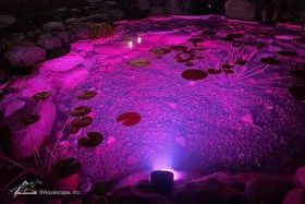84076 AQUASCAPE Changing Angle Light #3