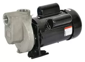 2ZXT1 DAYTON Priming Pump #2