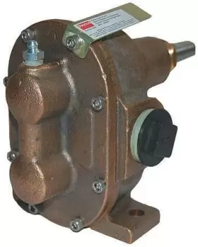 4KHG7 DAYTON Rotary Gear Pump Head #2