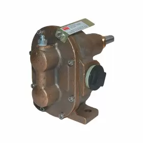 4KHG7 DAYTON Rotary Gear Pump Head