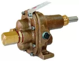 4KHJ2 DAYTON Rotary Gear Pump Head #2