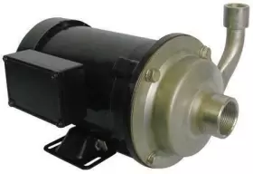 5WXT3 DAYTON Pump Centrifugal #2