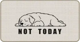 DD024-YZ-DD DOFQZ Golden Retriever Welcome Door Mat
