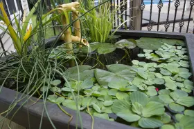 78051 PATIO Aquatic Pond Planter Container Water Garden Slate #3