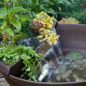 78325 POND Aquagarden Waterfall Container Water Garden Kit #2