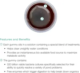 96083 POND Quickfix Gummy Water Treatment Slow Disolve #2 96083 POND Quickfix Gummy Water Treatment Slow Disolve #2