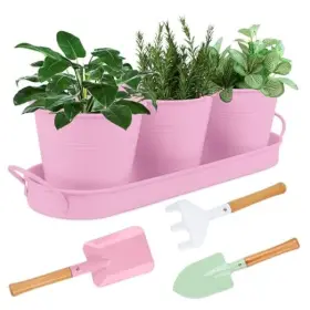 797465373601 LINZENTER Herb Garden Set Tray Gardening Tools