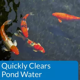 142G MARS FISHCARE Api Pond Accu Water Clarifier Bottle #3
