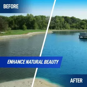 850008238697 NOT ROCKET SCIENCES Pond Dye Transforms Murky #2