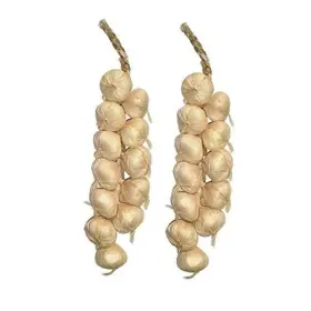 8541836836 SPEEDDA Pack Kitchen Garden Artificial Garlic