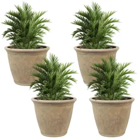DG-851-4PK SUNNYDAZE DECOR Anjelica Unbreakable Polyresin Set