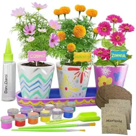 DD-060E WONDERFUN Paint Plant Flower Garden Kids Stoneware DD-060E WONDERFUN Paint Plant Flower Garden Kids Stoneware