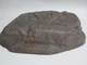 Savio Small Brown Stone Cover for Compact Skimmerfilter - K5002 Savio Small Brown Stone Cover for Compact Skimmerfilter - K5002
