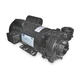DAYTON 2ZWP9 Pump,2 HP,1 Ph,115/230V AC 2ZWP9