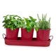 Plexon Herb Planter Indoor Garden Set of 3 with Tray, Metal Herb Pots for Red Plexon Herb Planter Indoor Garden Set of 3 with Tray, Metal Herb Pots for Red