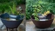 Aquascape AquaGarden Mini Pond Waterfall Kit Indoor Outdoor -Steel Gray or Mocha