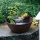 Aquascape AquaGarden Mini Pond Kit, 78325