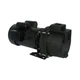 DAYTON 5RWH0 Pump,2 HP,1Ph,120/208 to 240VAC 5RWH0