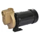 DAYTON 2ZXR3 Self Priming Pump,1 HP,Bronze 2ZXR3 DAYTON 2ZXR3 Self Priming Pump,1 HP,Bronze 2ZXR3