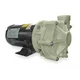 Dayton 2Yer8 Centrifugal Pump, 1 Hp, 3 Ph, 208-230/460V, Hz: 60