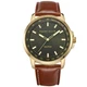 Perry Ellis Solar Powered Mens Watch | Vegan Leather Water-Resistant Analog W...
