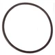 DAYTON PPT03304G O-Ring,For 4JMV2; 4JMX9; 5WXR9; 5WXT0 46K830 DAYTON PPT03304G O-Ring,For 4JMV2; 4JMX9; 5WXR9; 5WXT0 46K830