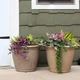 24 in Anjelica Dual-Wall Polyresin Planter - Beige - Set of 2 by Sunnydaze